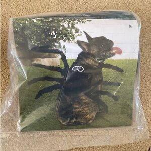 Dog Halloween Costume